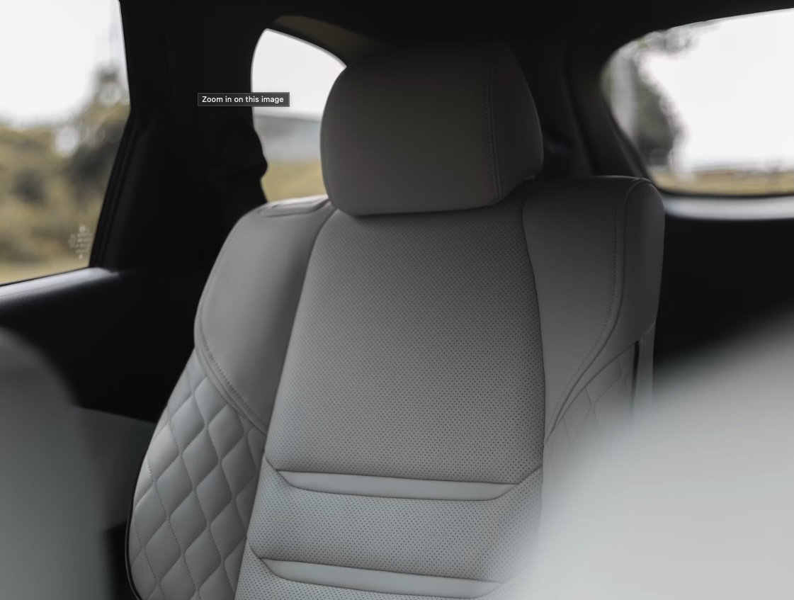 Araba koltuları yıkama