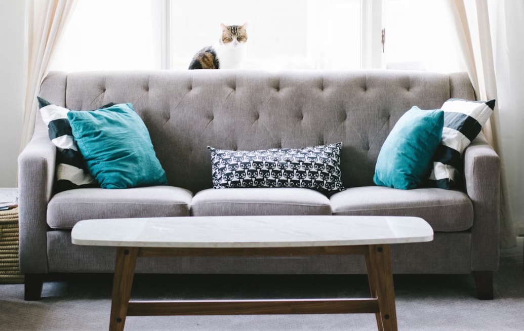 Koltuk ve Kanepe Yıkama Hizmeti